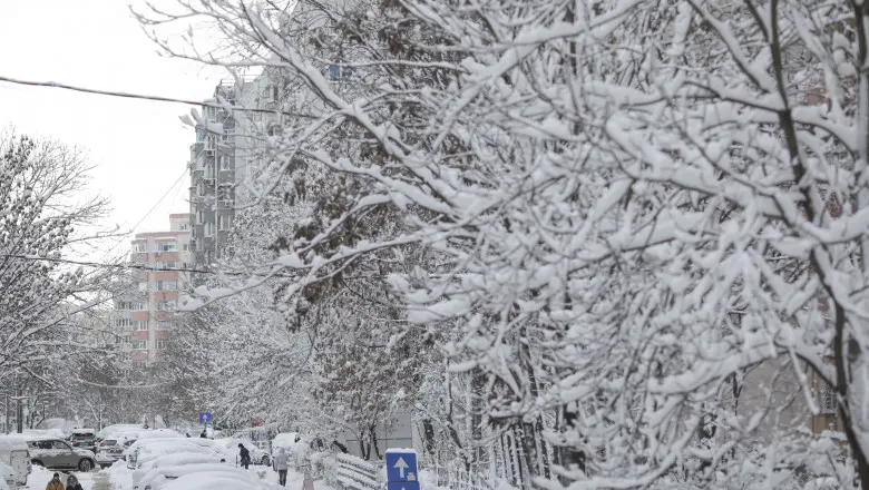 Meteorologii anunță ninsori și vânt în Capitală/FOTO: Inquam Photos/Octav Ganea