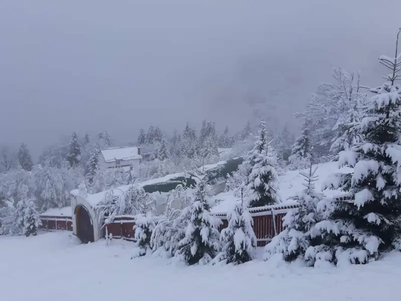 Iarna revine în forță în România. Cod galben de viscol și ninsori în 14 județe din țară - Foto: Facebook/Meteoplus