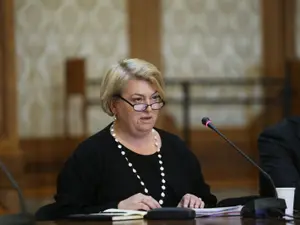 Doina Gradea a fost audiată marți de Comisia de cultură din Parlament. Foto Inquam Photos/George Călin