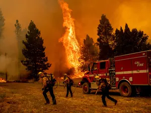 "Oak Fire" a izbucnit vineri în comitatul Mariposa, în apropierea Parcului naţional Yosemite şi a uriaşilor săi arbori sequoia. / Foto: Profimedia