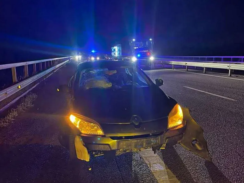 Atenție, vacă pe autostradă! Accident grav, cu 2 mașini, pe A3. Una s-a răsturnat - Foto: ISU Prahova