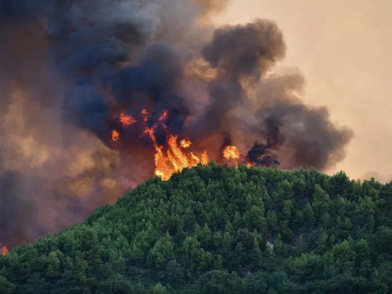 Incendiu de vegetație - Foto: Profimedia