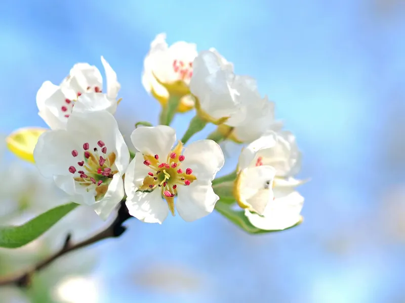 VREMEA Prima zi din luna aprilie aduce temperaturi maxime în aproape toată țara. Unde e cel mai cald Foto: Pexels (fotografie cu caracter ilustrativ)