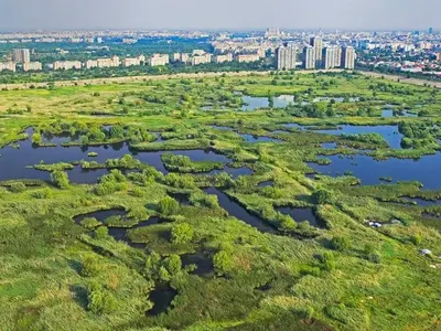 Primăria Capitalei a preluat în administrare Parcul Național Văcărești. / Foto: news.ro