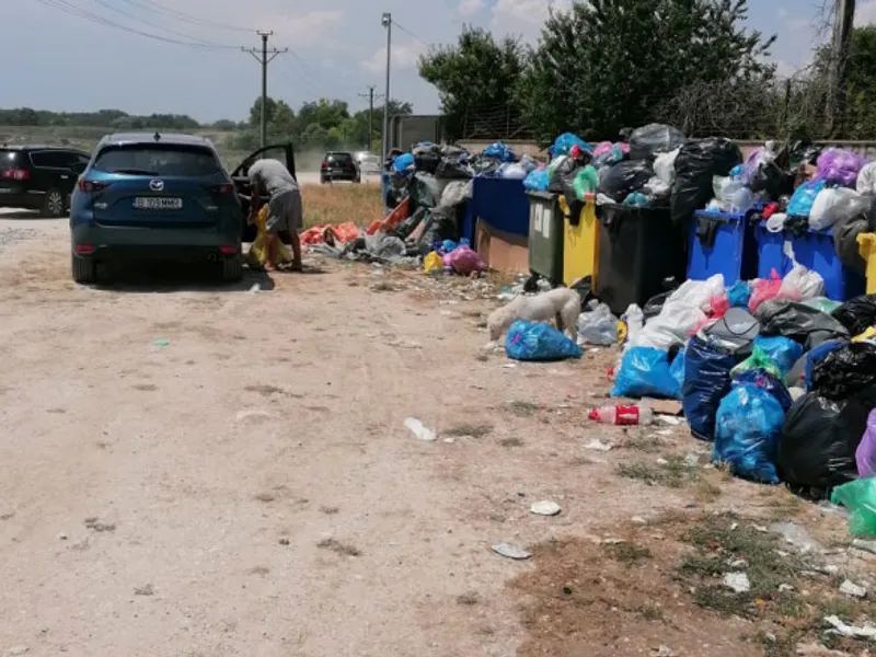 Plajele de la Corbu și Vadu, pline de gunoaie și invadate de autoturisme. Foto ARBDD