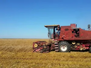 Gloriile agriculturii „Epocii de Aur”, C12 și C14, concurează încă cele mai moderne combine. / Foto: YouTube