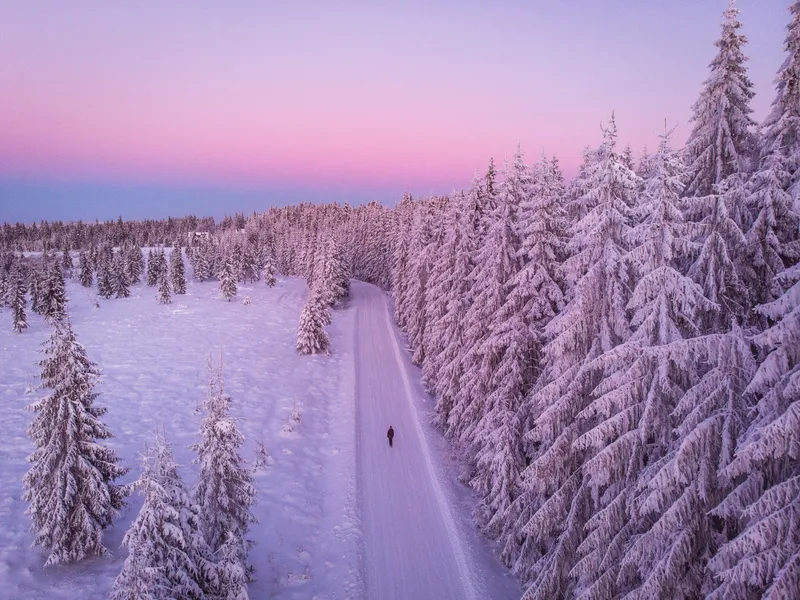 METEO În ce zone din țară va ninge? România este impărțită în două: ger în Est și 10 grade în Vest Foto: Freepik (fotografie cu caracter ilustrativ)