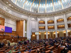 Deputații au votat: România va avea Ziua de Curățenie Națională. La ce se referă și în ce dată este? - Foto: Inquam Photos / Sabin Cirstoveanu (rol ilustrativ)