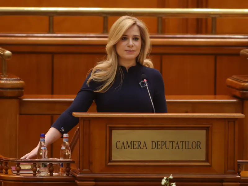 Secretarul general de la Camera Deputaților a împrumutat PSD cu 200.000 lei. Banii, luați de la mama - Foto: INQUAM PHOTOS / Călin George