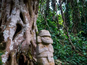 O rețea uriașă de orașe antice a fost descoperită în Amazonia. Sunt vechi de peste 2.500 ani - Foto: Profimedia Images/ Imagine cu caracter ilustrativ