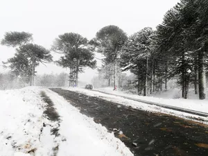 METEO Noi prognoze de la meteorologi. Vremea se schimbă. ANM a emis două alerte - Foto: Freepik. com (rol ilustrativ)