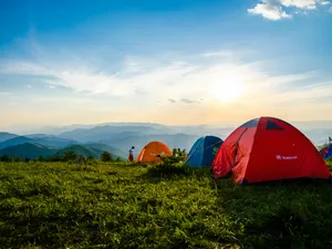 Copiii de la un club de cercetași au ajuns în spital după ce au mâncat într-un camping în Buzău Foto: Pexels (fotografie cu caracter ilustrativ)