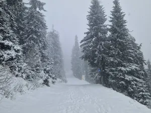 Vreme foarte rece cu vânt puternic în weekend: Unde vom avea cod portocoaliu de ninsori și viscol Foto: facebook/Meteoplus