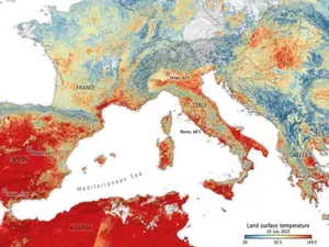 48,8 grade în Europa.Partea sudică este cea mai afectată de temperaturile ridicate Foto: Twitter/Reuters (fotografie cu rol ilustrativ)