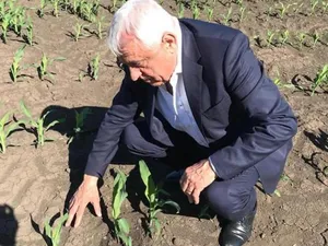 Petre Daea, Ministrul Agriculturii- Foto: FACEBOOK