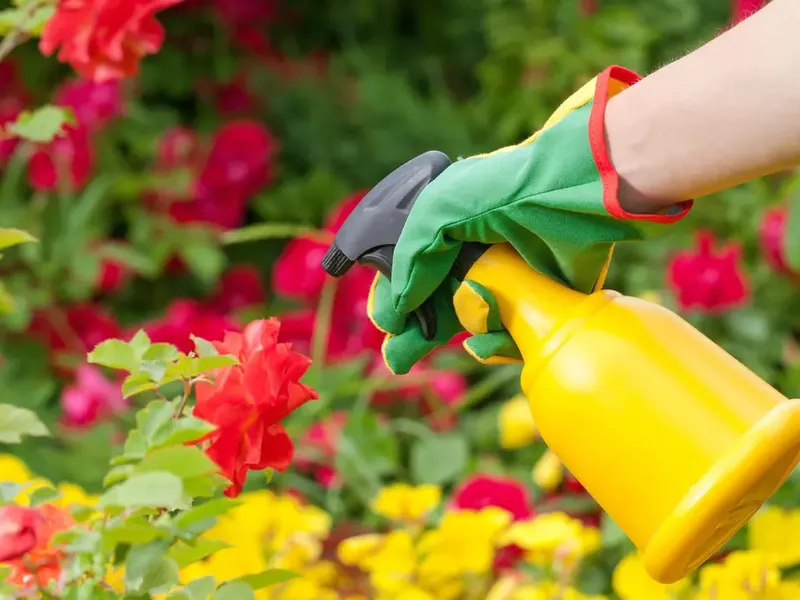 Ingredientul din bucătărie care îți scapă florile de dăunători. Este considerat un pesticid natural - Foto: Profimedia Images (imagine rol ilustrativ)