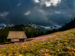 Temperaturi mai mici cu 20 de grade din cauza furtunii Renata. De la ploi, la zăpadă Foto: Pexels (fotografie cu caracter ilustrativ)