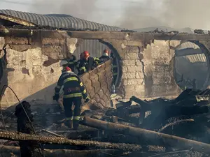 Pensiunea Ferma Dacilor  fost mistuită de flăcări Foto: profimediaimages.ro