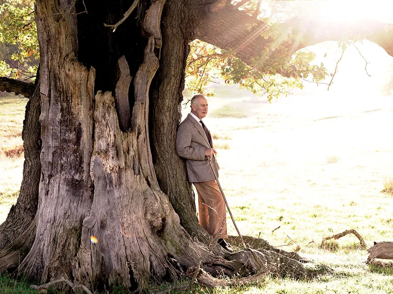 UN MOMENT IMPORTANT Încoronarea regelui Charles al III-lea (aici stând lângă un stejar străvechi în Windsor Great Park anul trecut) a fost un eveniment pregătit timp de 70 de ani.