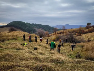 Proiecte sociale de peste 5,06 milioane de euro, finanțate de HS Timber Group în Româna, în 2021. / Foto: financialintelligence.ro