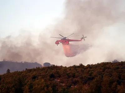 Un român de 38 de ani, arestat în Grecia. E acuzat că a provocat un incendiu de vegetație - Foto: Profimedia Images - Imagine cu rol ilustrativ