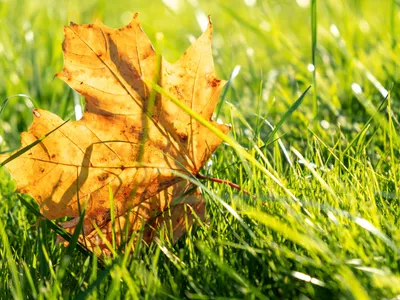 METEO în luna septembrie. Cum va fi vremea și ce spun specialiștii ANM despre prima lună de toamnă? - Foto: Arhiva / imagine cu rol ilustrativ