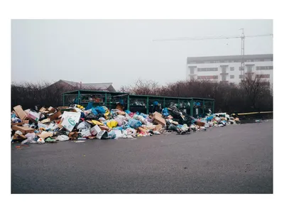 Garda de Mediu a amendat Primăria Baia Mare. FOTO: Facebook