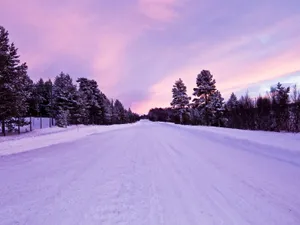 METEO Cum va fi vremea până pe 10 martie? ANM a anunțat diferențe de temperatură în România Foto: Freepik (fotografie cu caracter ilustrativ(