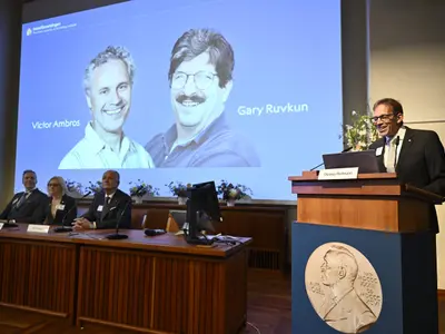 Premiul Nobel pentru Medicină, câștigat de Victor Ambros şi Gary Ruvkun. Au descoperit microARN-ul - Foto: Profimedia Images