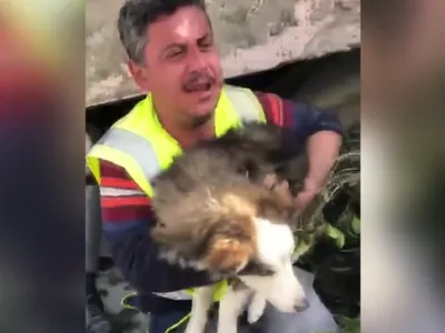 Un câine a fost salvat de sub dărâmături în Turcia după trei săptămâni - Foto: BBC / Captură video