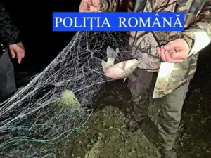 Pește confiscat, imagine cu caracter ilustrativ - Foto: Poliția Română