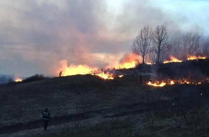 Incendii de vegetație/ Foto: Facebook ISU Gorj