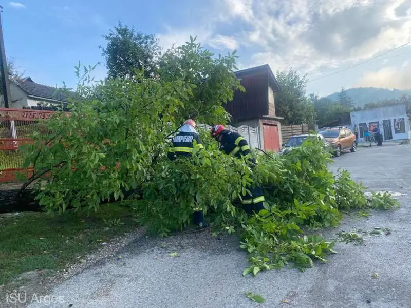 O furtună a dărâmat mai mulți copaci în județul Argeș - Foto: ISU Argeș