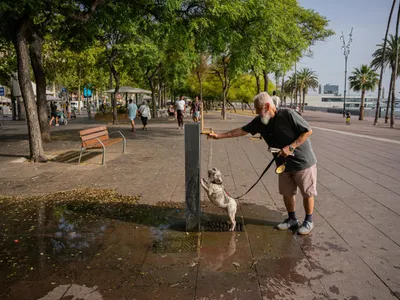 Canicula pârjolește Europa: Cod Roșu, în mai multe regiuni din Spania - Foto: Profimedia Images - Imagine cu rol ilustrativ