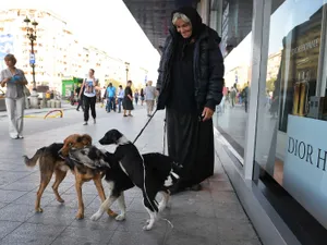 Veste minunată, dar cu reguli clare. Ce trebuie să facă cei care au animale, dacă vor cu ele în STB