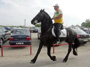 Nuțu Cămătaru a fost și în Legiunea Străină unde afugit din cauza infracțiunilor comise în țară - imagine cu caracter ilustrativ Foto: EVZ