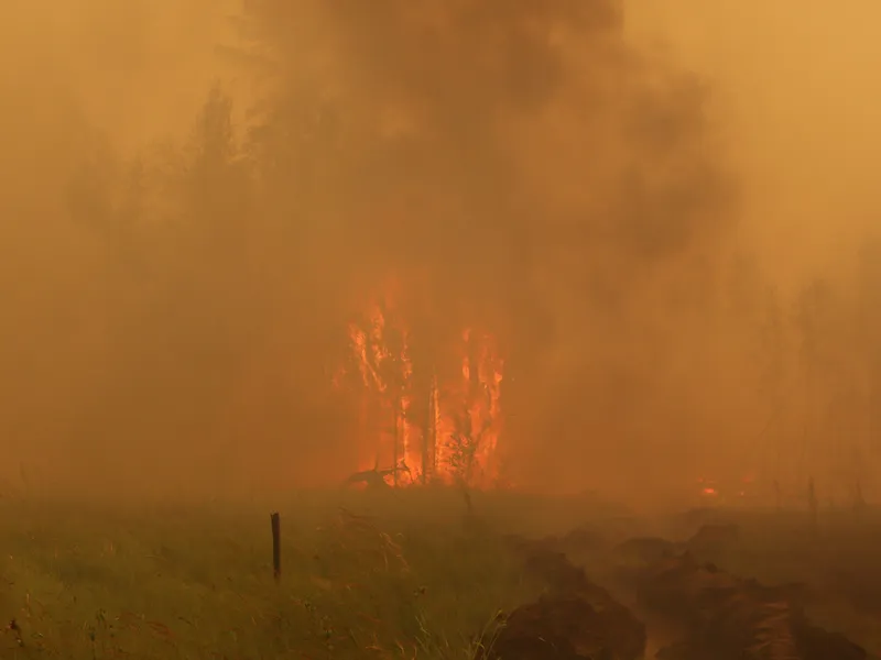 Incendiile din Siberia par scăpate de sub control. FOTO: Twitter