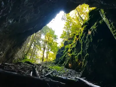 România a pierdut o comoară. Focul Viu din Padiș, Munții Apuseni, s-a stins. Ce s-a întâmplat - Foto: captură video