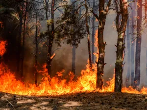 „Fantoma de foc”. Arma misterioasă cu care Ucrainia pur și simplu „rade” tranșeele rușilor - Foto: captură youtube (imagine cu caracter ilustrativ)