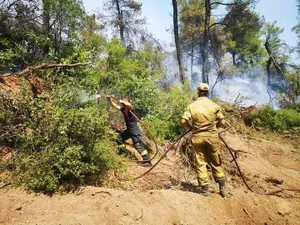 Populația a fost nemulțumită de reacția guvernului la incendii. FOTO: Facebook