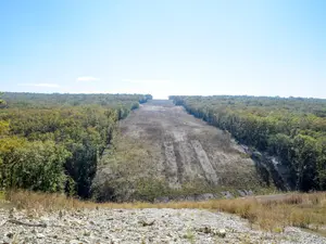 Pădure defrișată (imagine cu caracter ilustrativ) - Foto: Profimedia Images