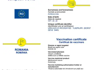 Fără certificat, italienii nu se pot urca în avioane. FOTO: Facebook