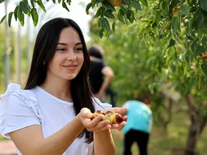 Fructul minune adus din China care crește la Dăbuleni. Te scapă de insomnie și reglează digestia - Foto: Profimedia Images