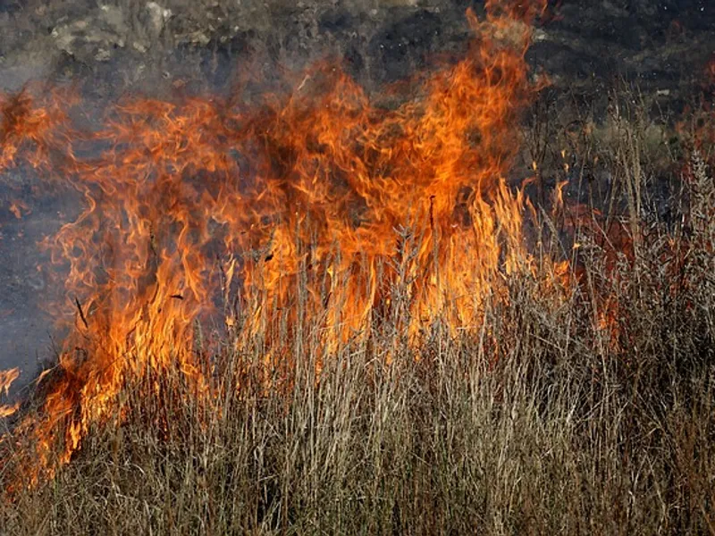 Fumul toxic degajat de la incendiile de vegetație se răspândesc în Siberia/FOTO: Pixabay