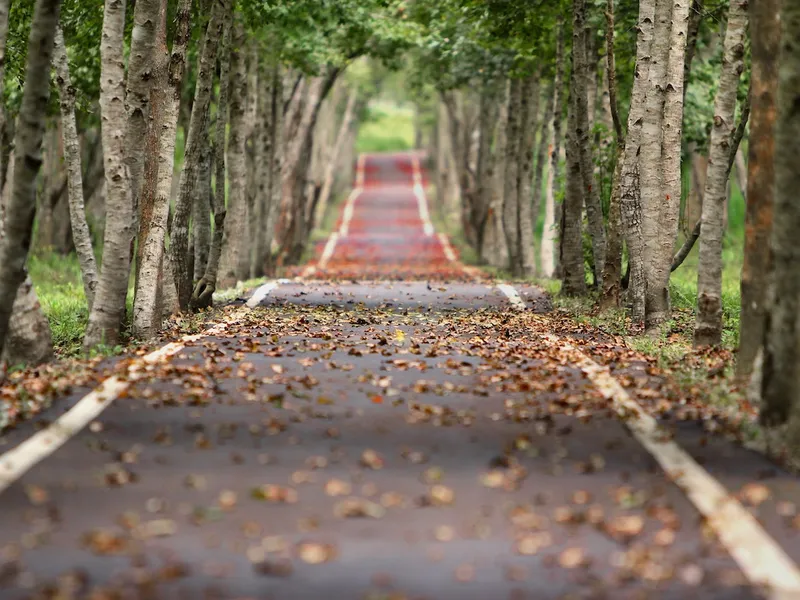 Vreme relativ caldă încă 2 săptămâni. / Foto: pexels.com