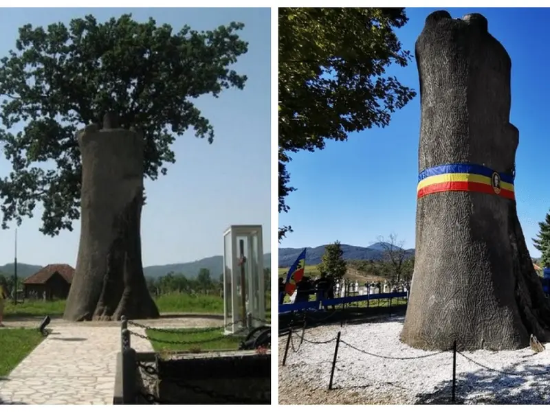 Misterul gorunului lui Horea, vechi de 400 ani. Ce se află îngropat la rădăcina lui - Foto: Colaj/ Facebook