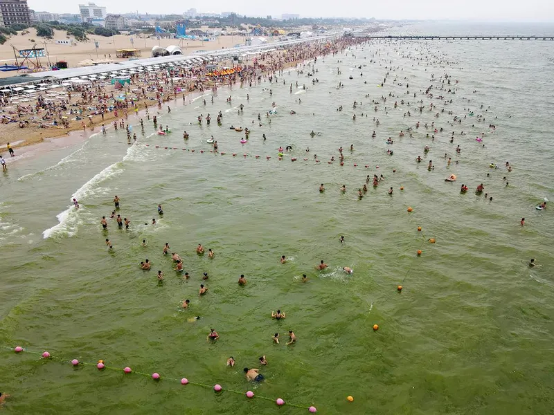 Marea Neagră plină de alge - Foto: Profimedia