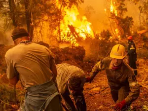 Incendiile de vegetație din vară au provocat emisii record de CO2. / Foto: bbc.com