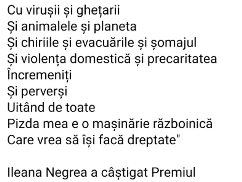 Poemul "Avertisment", de Ileana Negrea, publicat pe pagina Feminism Romania Foto: Facebook