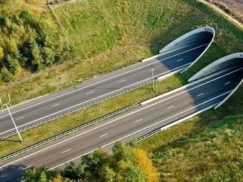 Autostradă / Foto: Irinel Ionel Scriosteanu